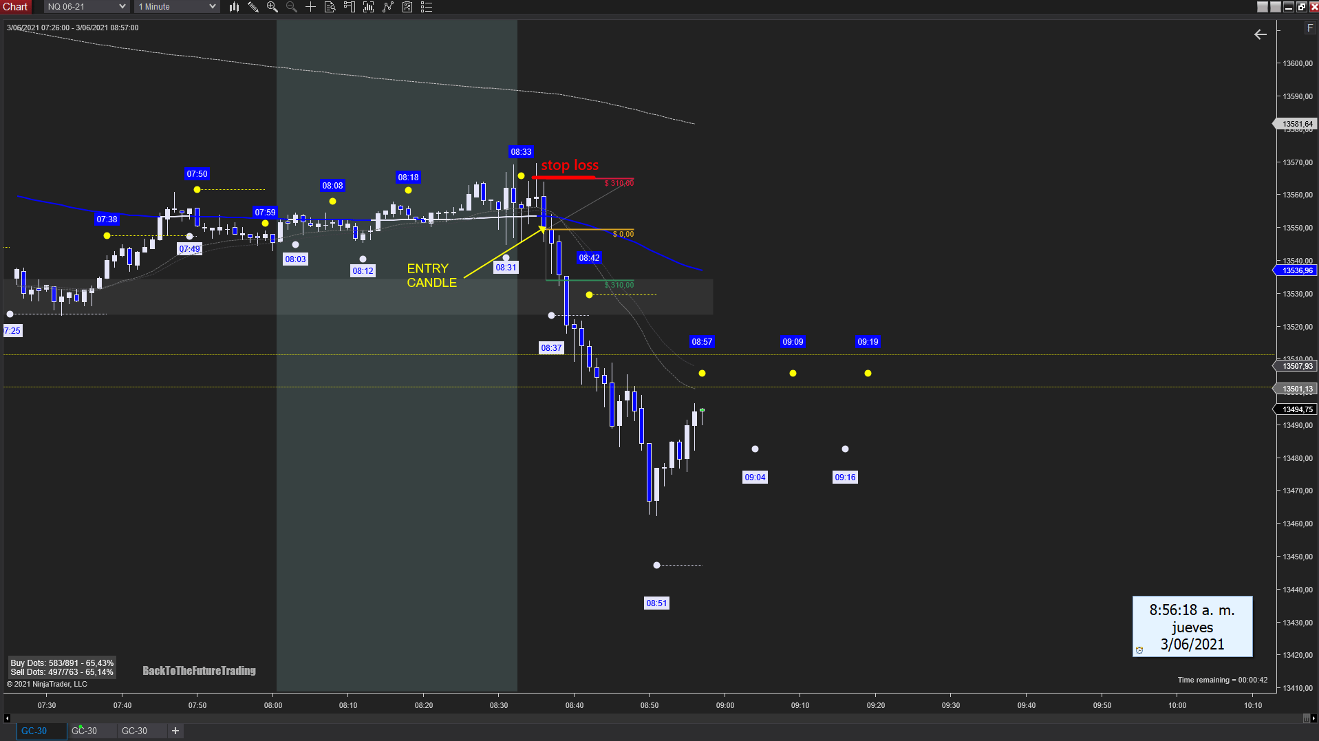 Trading GANN times on the NASDAQ Back To The Future Trading